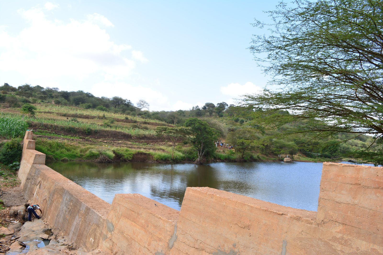 Sand Dams — Complete SDs