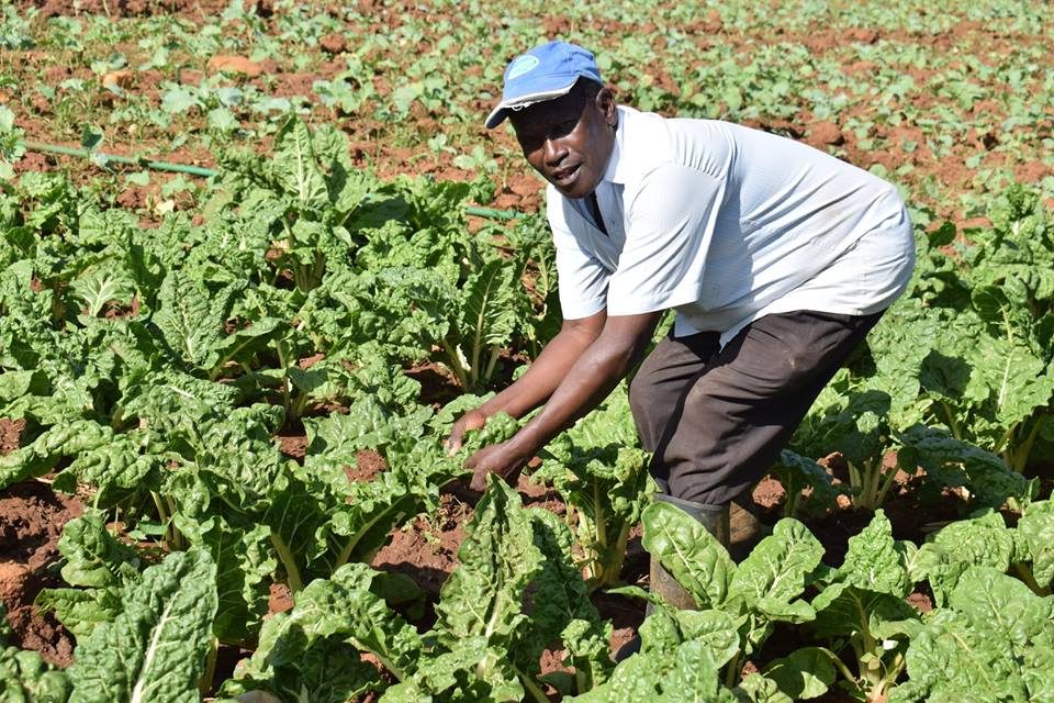 Food Production — Crop Production