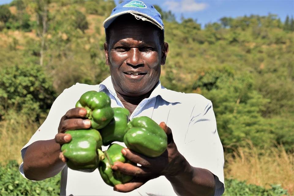 Food Production — Crop Production