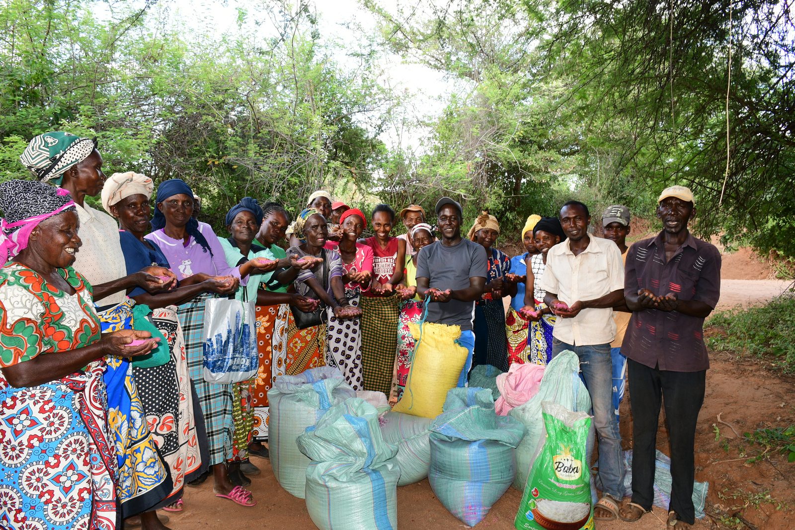 Drought Tolerant Seeds — Kanywa Mbithi SHG seed distribution