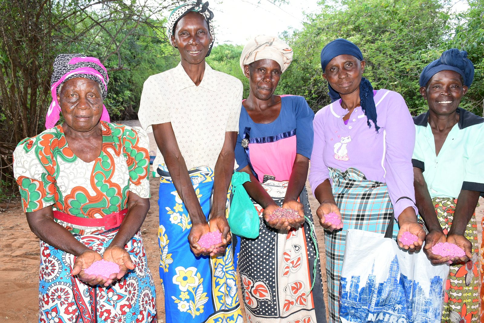 Drought Tolerant Seeds — Kanywa Mbithi SHG seed distribution