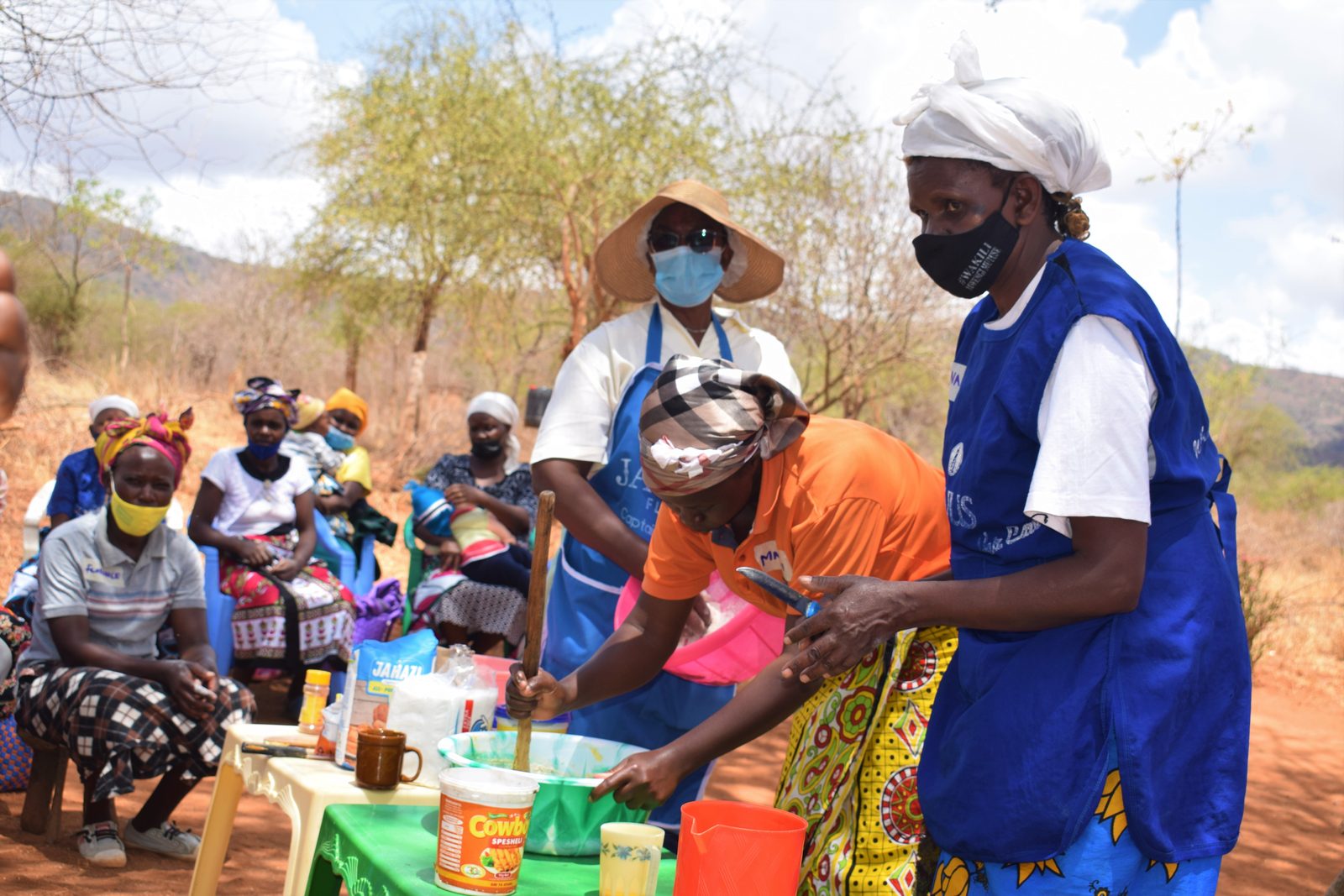 Skills and Knowledge Training — Ngoni North SHG Nutrition And Value Addition Training