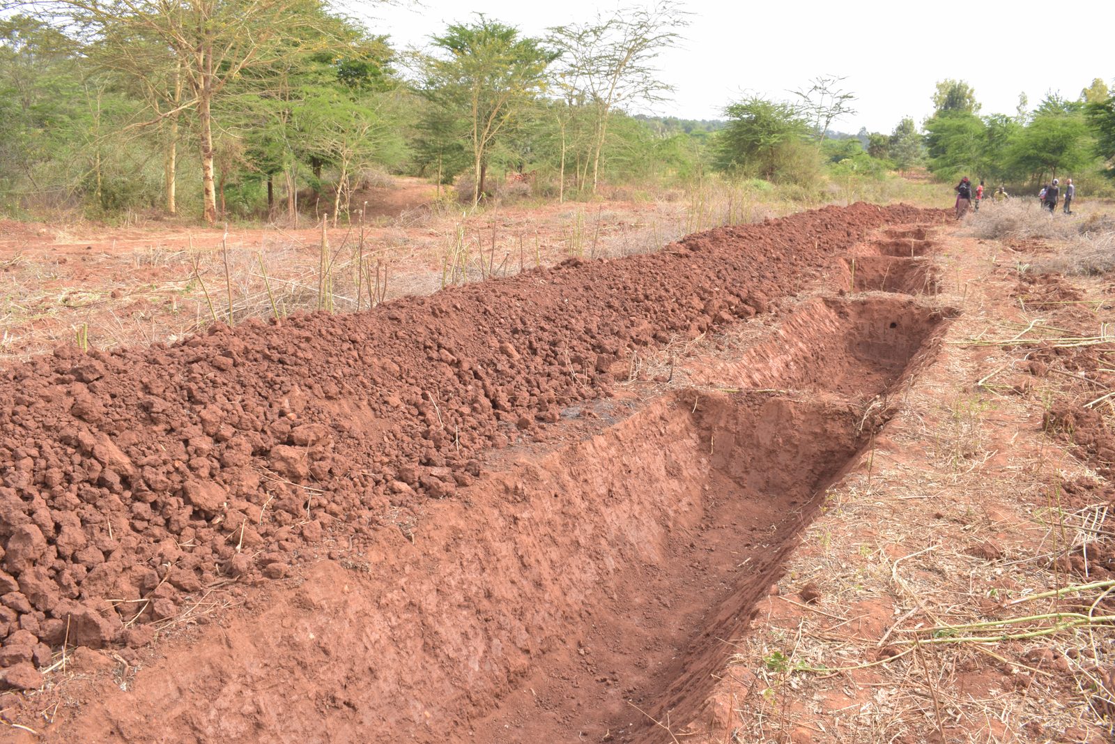 Farm Terracing