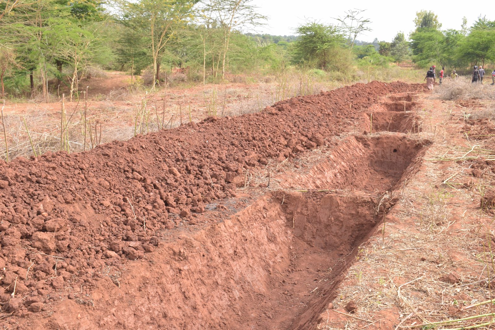 Farm Terracing