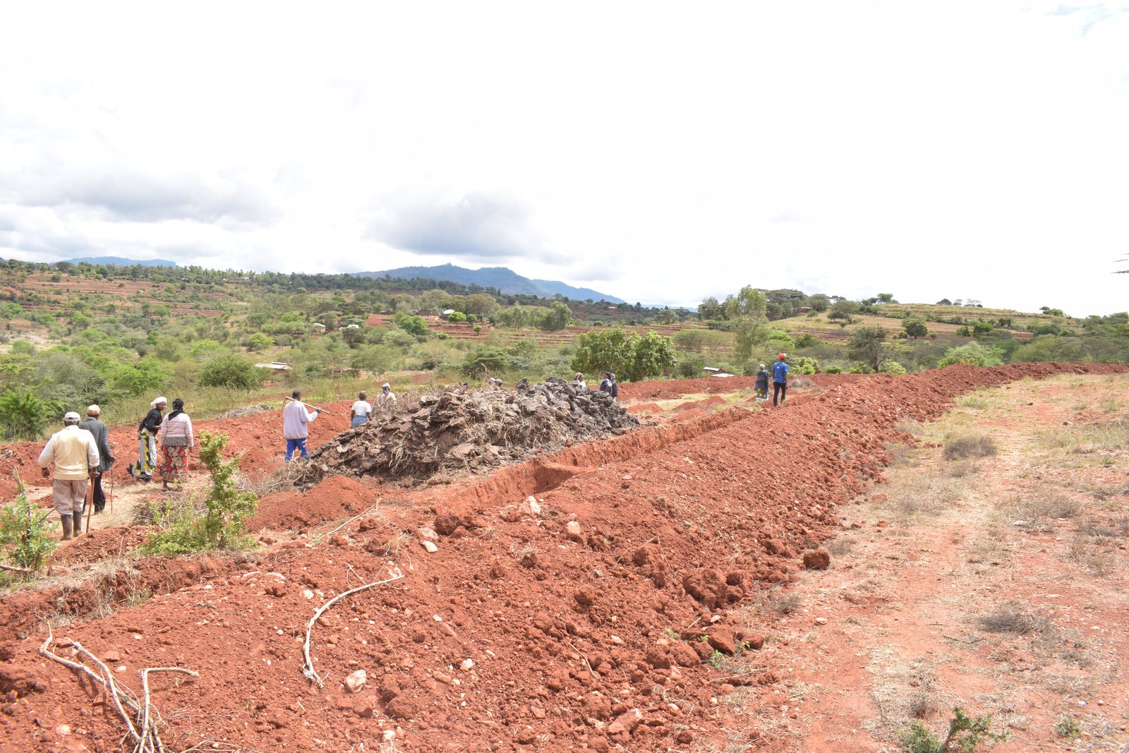 Farm Terracing