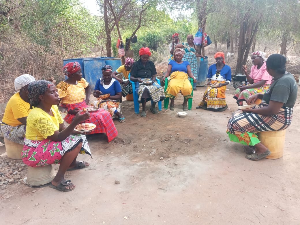 Skills and Knowledge Training — Tii Mikau Growers SHG Value addition training