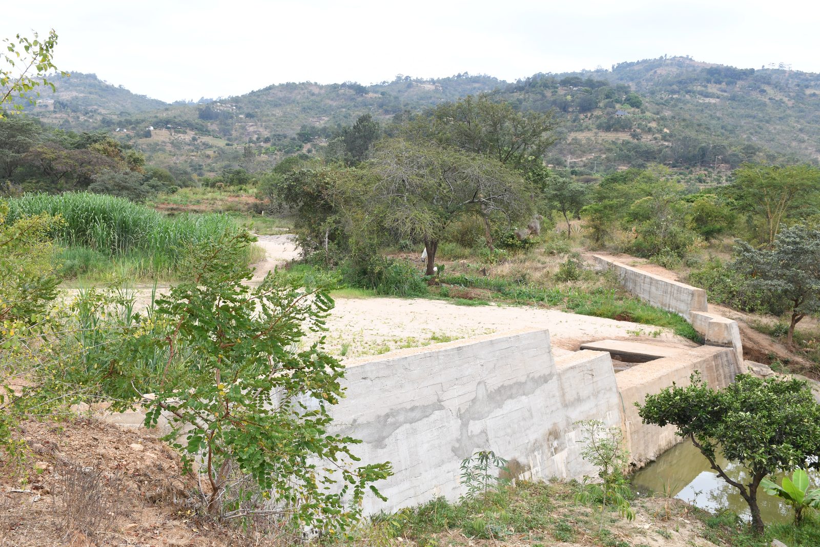 Healthy environment
