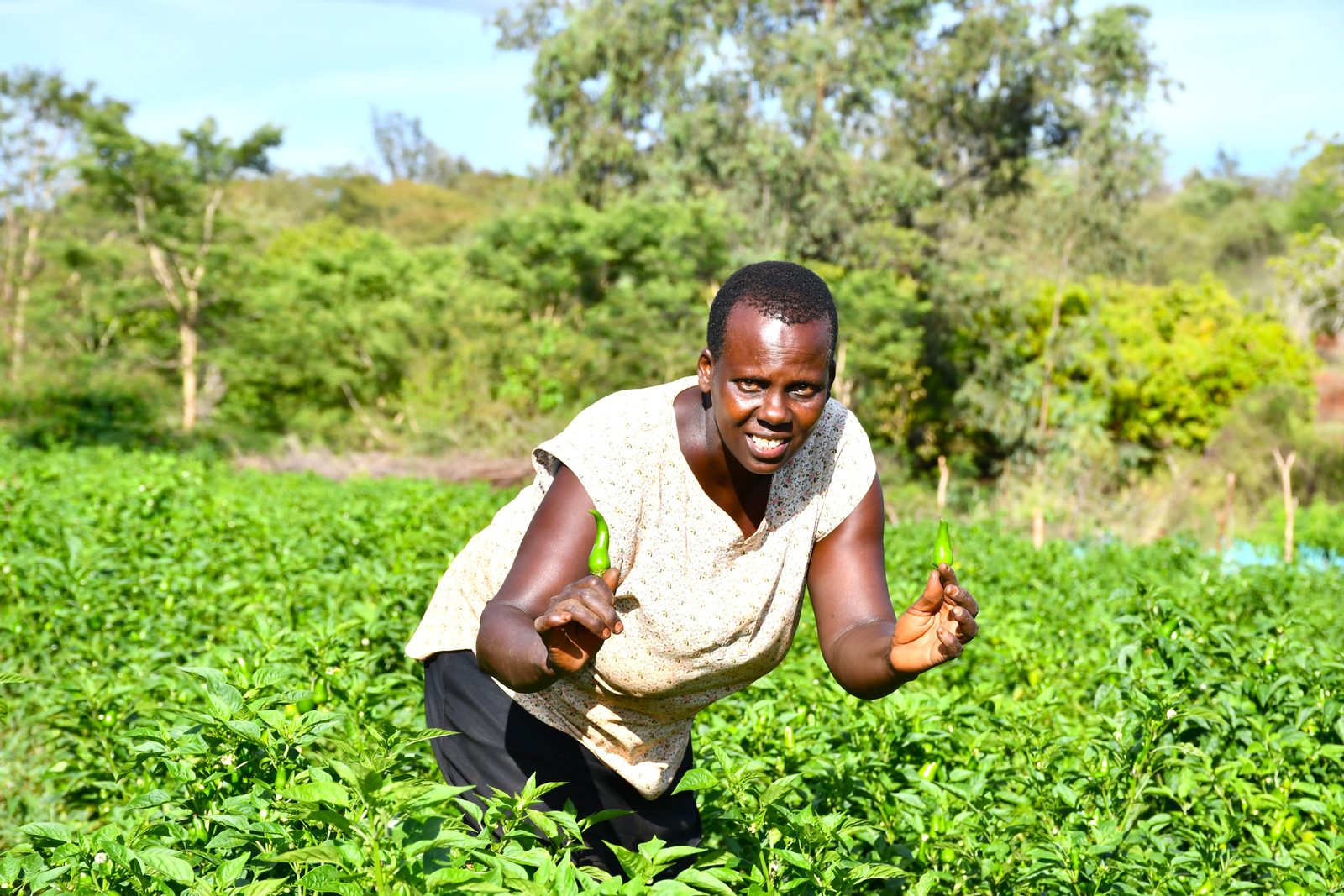 Abundant harvest